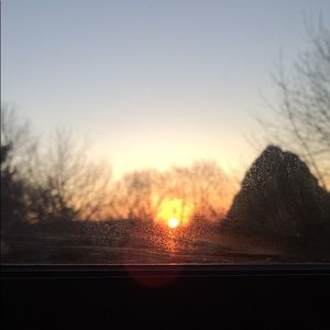 Meet your Posher, Gavin